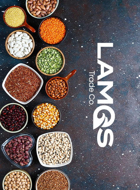 Lamos Pazarlama ve Dış Tic. Ltd. Şti.